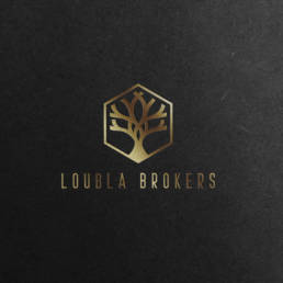 3 25 loubla logo design south africa