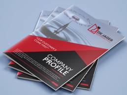 Professional company profile design south africa
