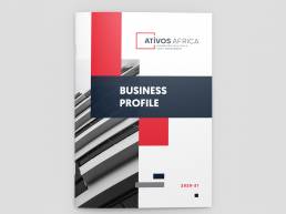 company profile