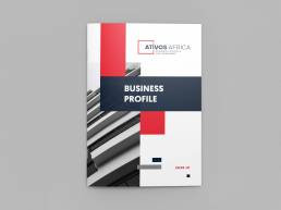 Business Profile design