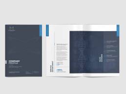 company brochure design