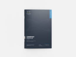 company profile price south africa