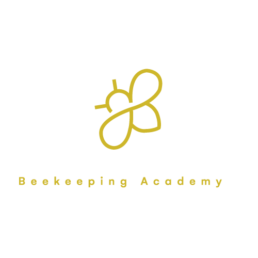 drakensburg-logo-design 4 drakensburg logo design uai